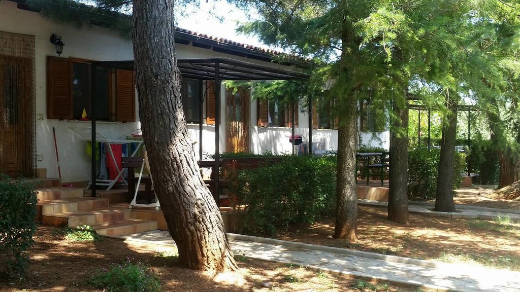 Sanja Apartments Sveti Servul Novigrad  Exterior photo